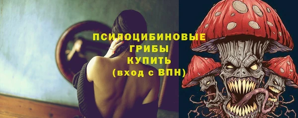 альфа пвп Медногорск