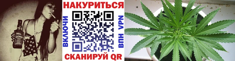Бошки Шишки гибрид Томмот